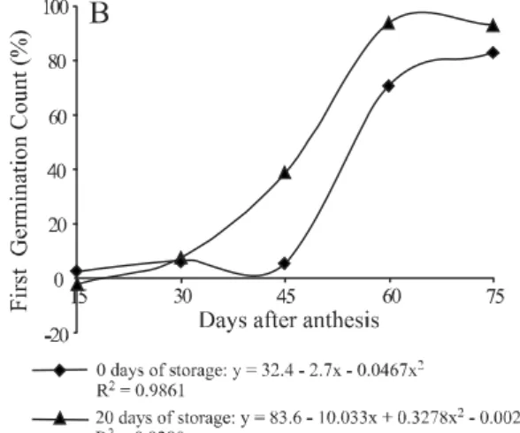 Figure 1 - Germination (A) and first count (B) in hybrid pumpkin seeds from fruit harvested at 15, 30, 45, 60 and 75 days after anthesis (DAA) and stored for 0 and 20 days