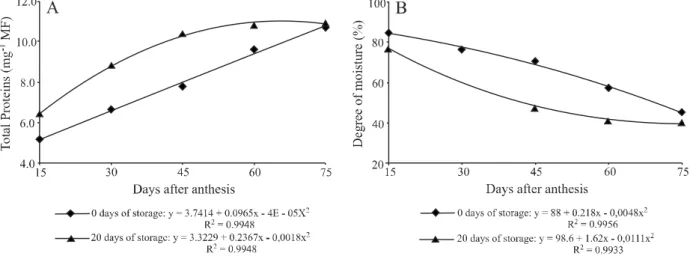 Figure 2 - Total soluble protein concentration (A) and degree of moisture (B) in pumpkin seeds from fruit harvested at 15, 30, 45, 60 and 75 days after anthesis (DAA) and stored for 0 and 20 days