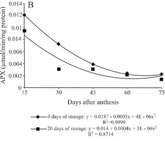 Figure 4 - Activity of the enzymes peroxidase (POX) (A) and peroxidase ascobate (APX) (B) in pumpkin seeds from fruit harvested at 15, 30, 45, 60 and 75 days after anthesis (DAA) and stored for 0 and 20 days