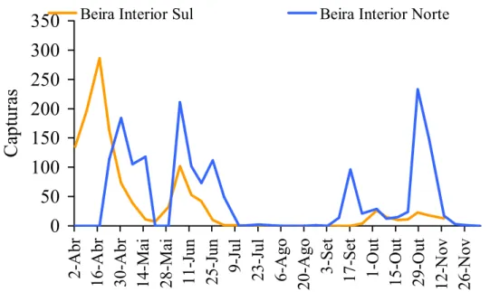 Figura 7 – Curvas de voo de traça-da-oliveira na Beira Interior Norte e na Beira Interior Sul, em 2002