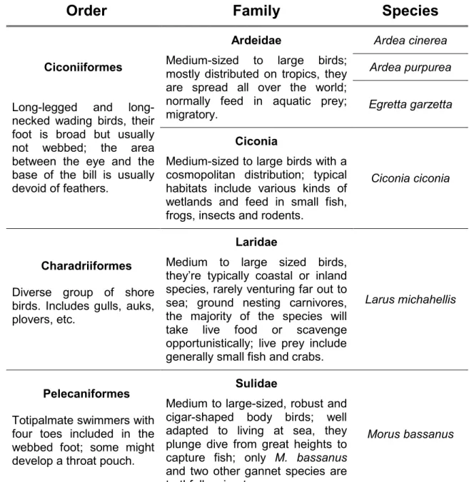 Table 1.1. Overview of the species studied, with summarized information of the Order and  Family characteristics