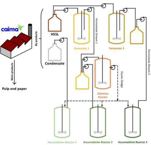 FIGURE 1 - Overview of the work developed Pulp and paper