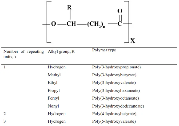 FIGURE 2 - General structural formula of PHA (Kumar et al. 2015) 