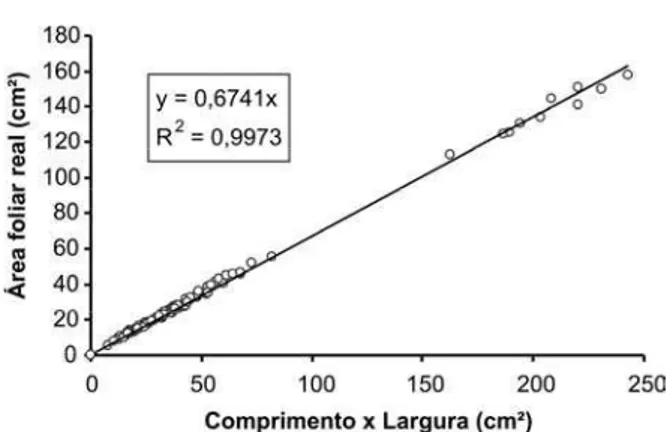 Figura 5 - Correlação entre a área foliar real e a estimativa produzida com o produto do comprimento ao longo da nervura central pela largura máxima das folhas de A