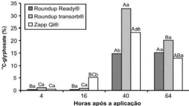 Figura 5 - 14 C-glyphosate presente nas raízes de plantas de soja (em relação ao total medido) que receberam aplicação de formulações desse herbicida e posterior quantificação em intervalos de tempo