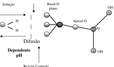 Figura 4. Mecanismo de hidratação da caulinite (Bobos  et al . 2001).