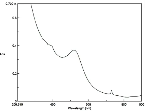 Figure 1 – Absorption spectrum of a 20 mg/L AuNP solution prepared in ultra-pure water