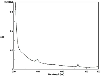 Figure 4 - Absorption spectrum of a 0.078 mg/L AuNP solution prepared in ASTM. The  image was obtained through the Spectra Manager software