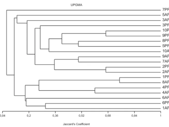 Figura 2 – Dendrograma obtido pelo método média de grupo (UPGMA), com base no índice de Jaccard