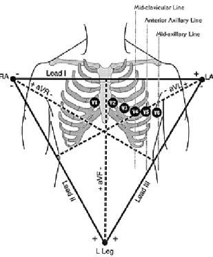 Figure 2.8 - Electrodes Placement.  