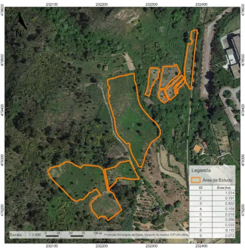 Figura 8 - Localização das parcelas do arboreto REINFFORCE na UTAD. 