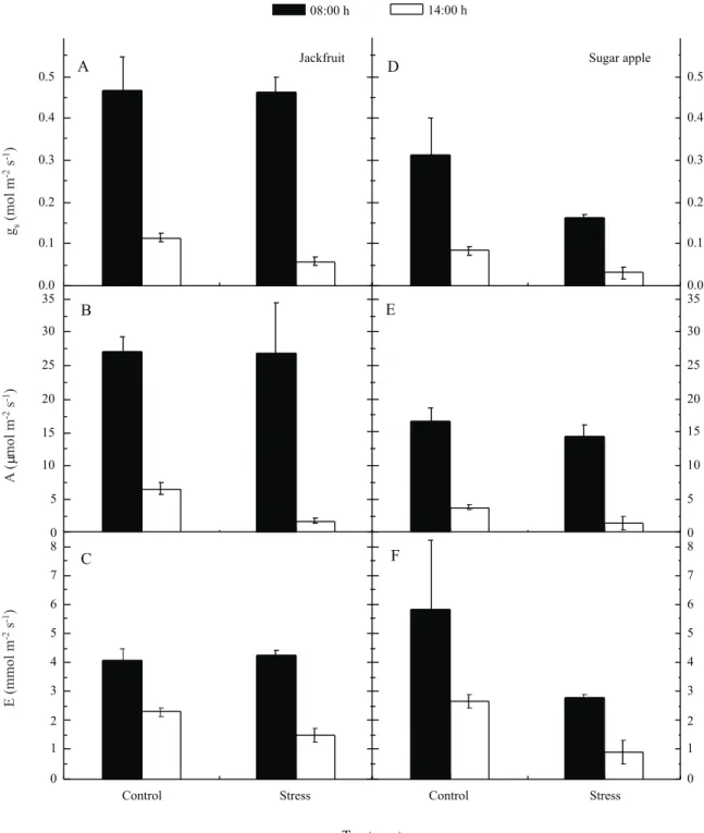 Figure 2 - Gas exchange responses of young plants of two species fruit, jackfruit (A, B, C) and sugar apple (D, E, F) under water deficit  period of eight days