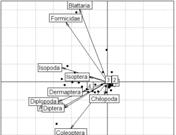 Figure 4 - Principal components analysis of the groups founded  at 6 days before planting (1), and 117 (2), 256 (3) and 354 days  after planting (4)