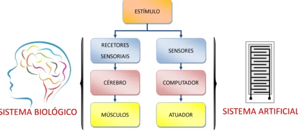 Figura 2 – Comparação entre o sistema sensorial biológico e o sistema sensorial artificial a partir da receção de um  estímulo, seguido da reação a este (adaptação de [6] e [41])