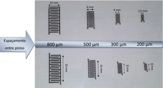 Figura 8 – Microelétrodos interdigitados utilizados no fabrico dos biossensores e respectivas dimensões
