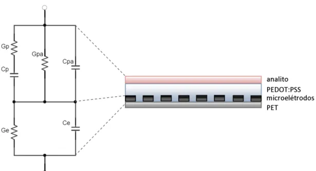 Figura 11 – Circuito equivalente para o sensor estudado. 