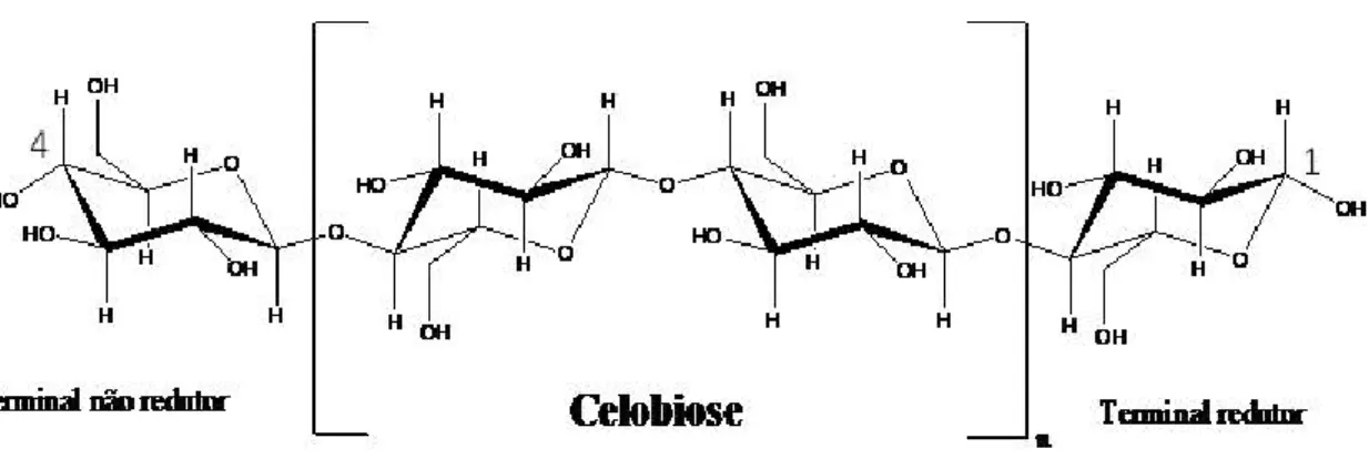 Figura 1 - Estrutura molecular da celulose [6].  