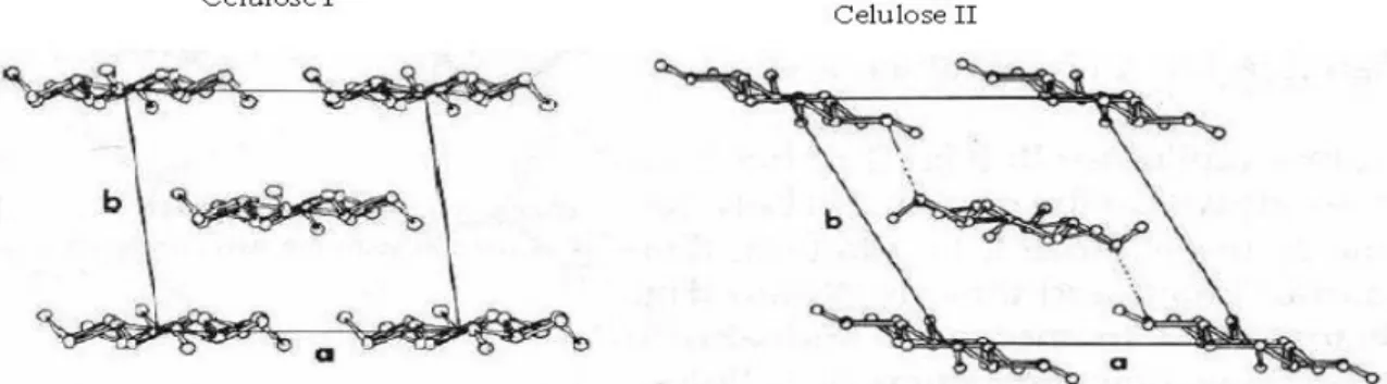Figura 4 – Projecções axiais das estruturas de celulose I e de celulose II. 