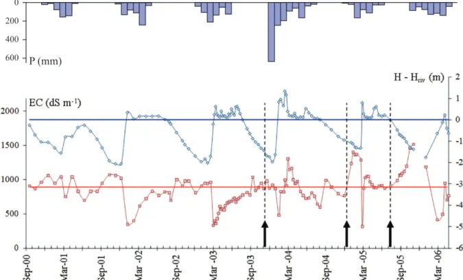 Figure 3 - Precipitation (blue bars), groundwater level (H) in relation to river bed level (H riv ) (blue plot) and EC (red plot) at P107, date  of first request for water release each year (black arrows) in the period September 2000 - September 2006