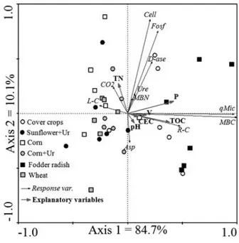 Figure 2 - Principal component analysis (PCA) based on chemical, biochemical and microbiological attributes of a Rhodic Kandiudult as affected by different winter crops in a no-till cropping system under implantation, sampled in 2009 in Londrina PR