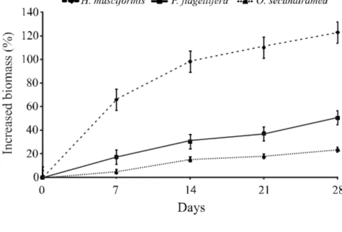 Figure  1  - Percentage increase in the fresh biomass of the macroalgae (6 g initial fresh weight per beaker) throughout the 28 days of laboratory cultivation