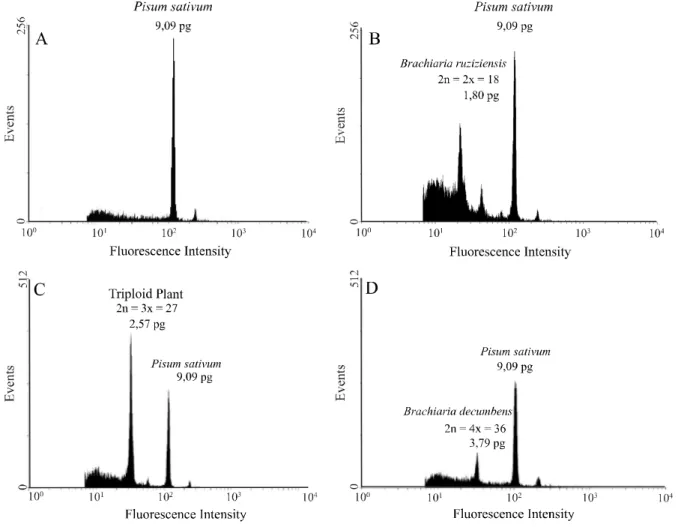 Figure 1 - Histograms of flow cytometry for DNA quantifation: A) Pisum sativum L. - The G1 peak is a DNA standard reference quantity of 9.9 pg; B) diploid plant - B