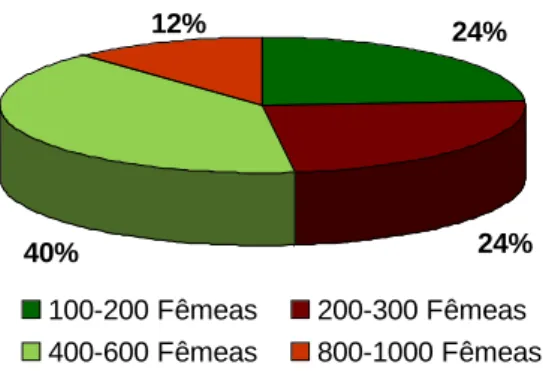 Figura 1 - Distribuição do exploração cunícola por dimensão 