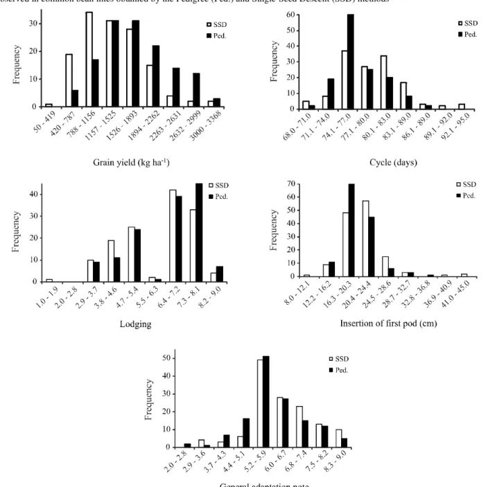 Figure 1 - Frequency distribution of grain yield (kg ha -1 ), cycle (days), lodging,  insertion of first pod (cm) and  general adaptation note observed in common bean lines obtained by the Pedigree (Ped.) and Single-Seed Descent (SSD) methods