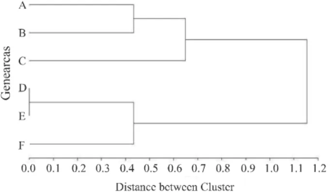 Figure  3  - Distances between founders’ dendrogram according to the Warner-Bratzler shear force of the Longissimus dorsi of their respective progenies