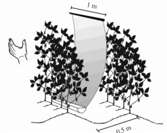 Figure  1 - Representation of the vertical beat sheet used for sampling bugs in the soybean crop