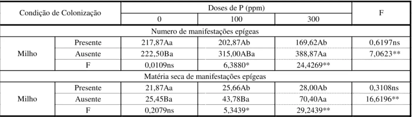 Tabela 5 - Desdobramento da interação entre condição de colonização e doses de P sobre número de tubérculos e matéria seca  de manifestações epígeas de tiririca, aos 42 dias após o plantio 