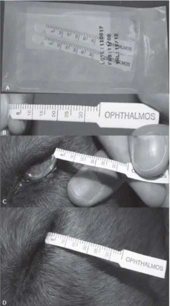 Figure 1. Schirmer tear test 1 performed in a dog under general anesthesia. A - Sterile strips for Schirmer tear test inside package;