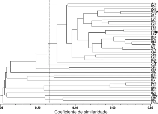 Figura 2 – Dendograma dos 40 acessos de Bidens pilosa (p) e Bidens subalternans (s), coletados em uma propriedade no Planalto Gaúcho, baseado nos dados de 142 bandas obtidas de 26 primers de RAPD, utilizando-se o método da média das distâncias UPGMA