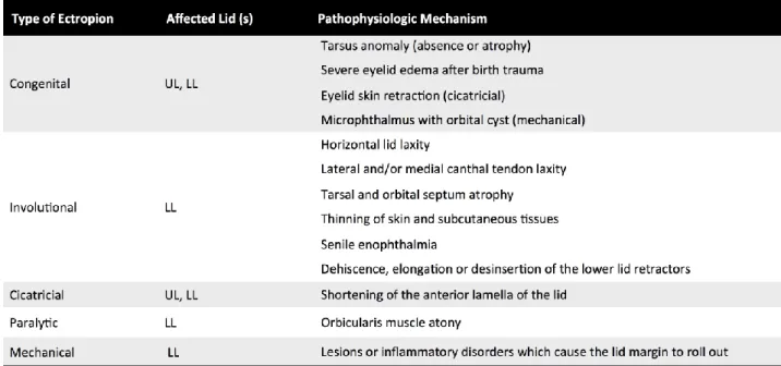 Table 1. Type of ectropion, affected lids and pathophysiologic mechanism. 