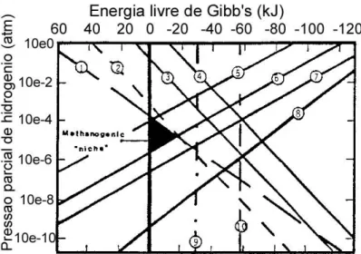 Figura 2-6: Efeito da pressão parcial de hidrogénio na energia livre de algumas reacções anaeróbias