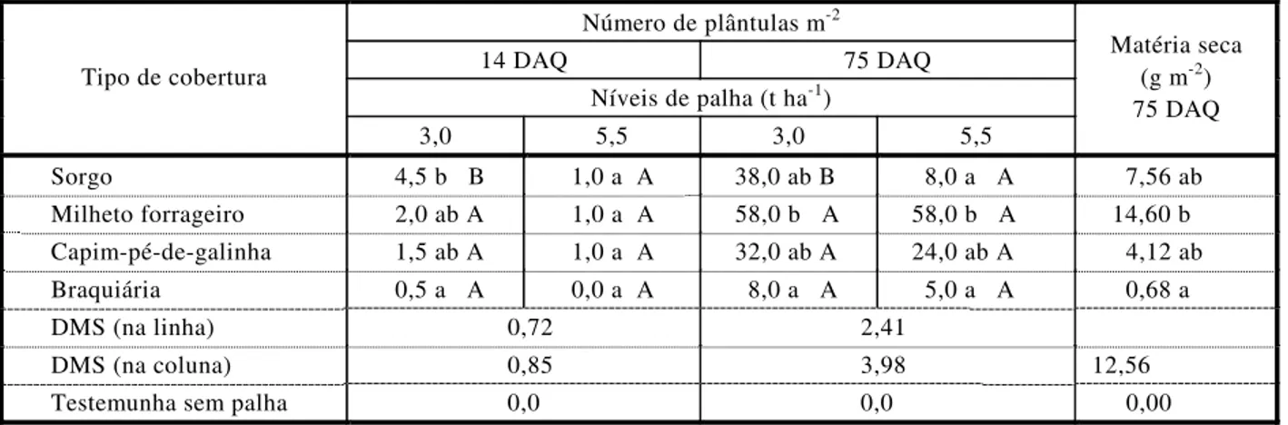 Tabela 6  - Emergência e acúmulo de matéria seca de plantas de Chamaesyce  spp. submetidas a quatro tipos de cobertura e  dois níveis de palha, além da testemunha (sem palha)