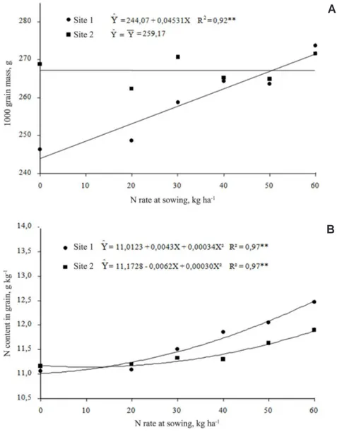 Figure 2. Thousand grain mass (A) and N content in maize grain (B) in response to nitrogen fertilization at sowing for areas without (Site 1) and with crop rotation (Site 2).
