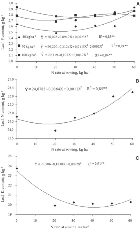 Figure 4. Leaf phosphorus content as a function of N applications at sowing and topdressing (A), leaf nitrogen content (B) and leaf potassium content (C) in response to nitrogen at sowing.