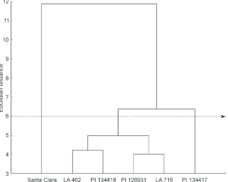 Figure 2. Dendrogram based on attractiveness and consumption of leaves of tomato genotypes by fourth instar larvae of Spodoptera eridania in free and non-choice tests