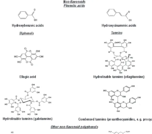 Figure 2. Basic structures of non-flavonoid phenolic compounds.