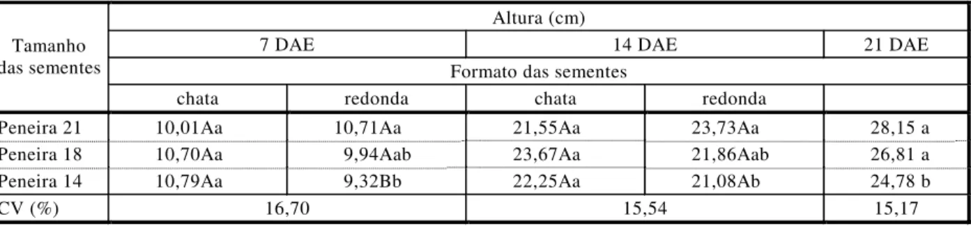 Tabela 3 - Médias da altura de plantas aos 7, 14 e 21 dias após a emergência (DAE) de plantas de milho provenientes de três  tamanhos e dois formatos de sementes
