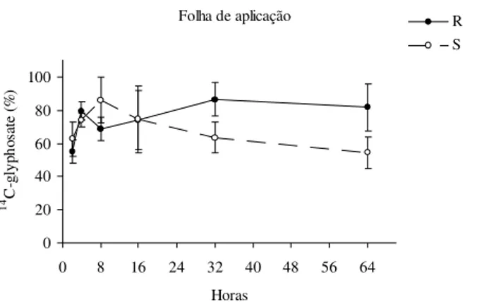 Figura 2 - Porcentagem de  14 C-glyphosate na folha de aplicação, em relação ao total presente na planta, nos biótipos resistente (R) e sensível (S).
