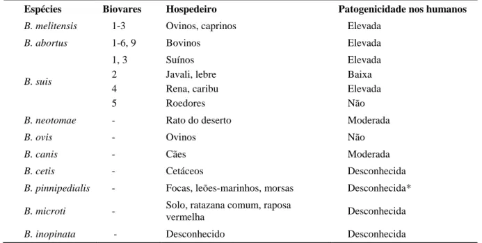 Tabela  1  –  Hospedeiros  preferenciais  e  patogenicidade  nos  humanos  das  espécies  de  Brucella