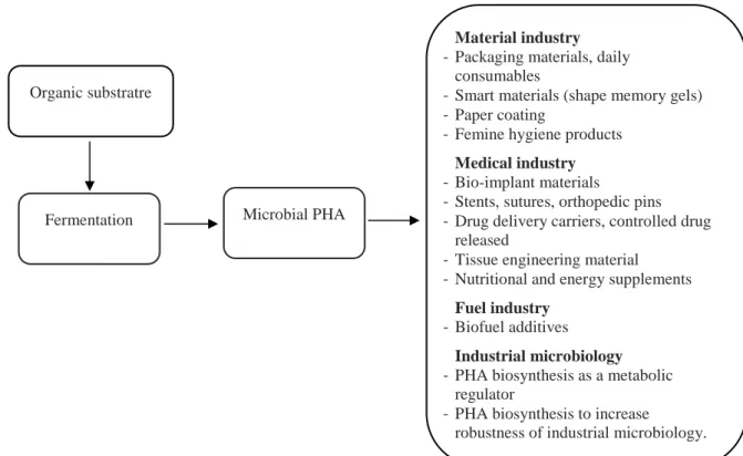 Figure 2-7: PHAs biosynthesis pathways and metabolic pathways to overproduce PHA. From (Magdouli et al., 2015)