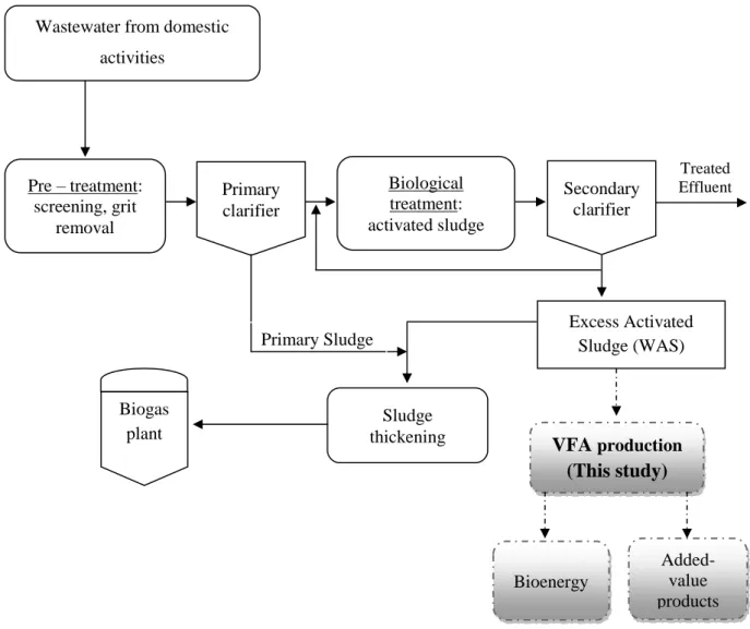 Figure 3-1:  Process overview of a wastewater treatment plant, including WAS production.
