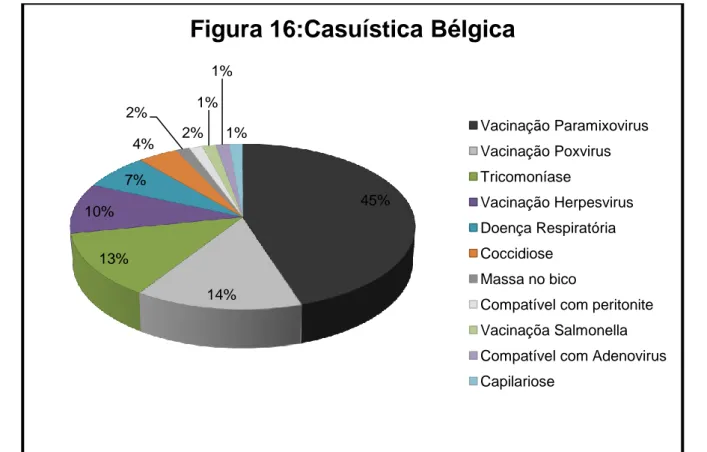 Figura 16:Casuística Bélgica 