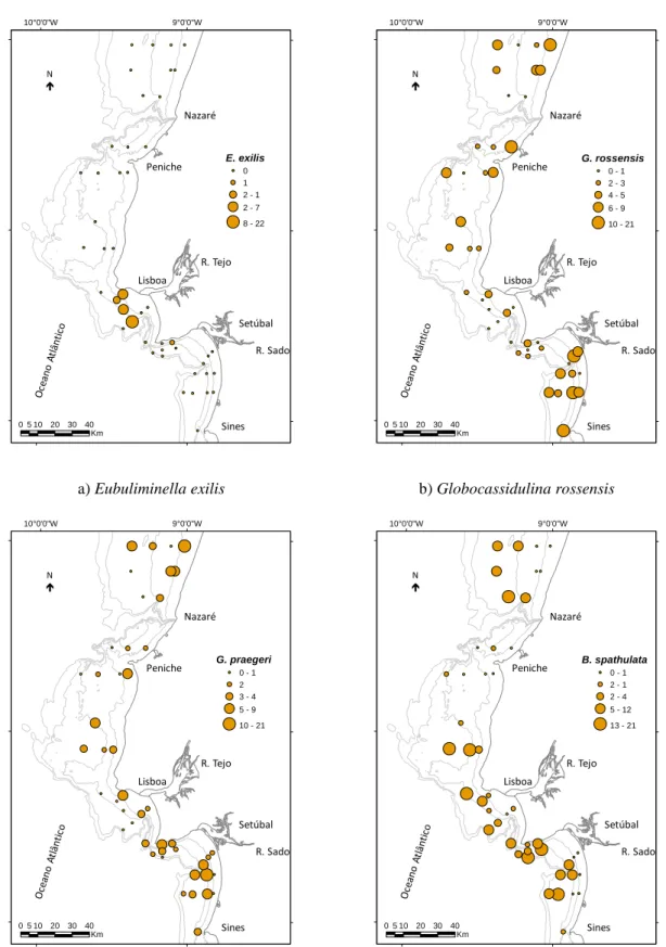 Figura  5.8  –  Mapas  de  distribuição  da  percentagem  das  espécies:  a)  Eubuliminella  exilis,  b)  Globocassidulina rossensis, c) Gavelinopsis praegeri, d) Bolivina spathulata 