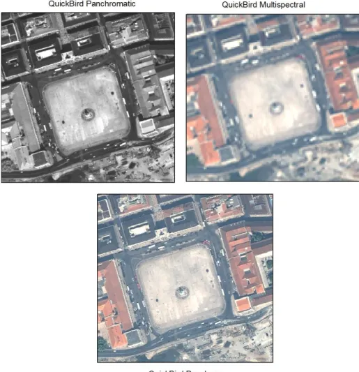 Figure 14. The original QuickBird panchromatic and multispectral images and the pan- pan-sharpened image obtained with the fusion technique developed by Zhang (2002)