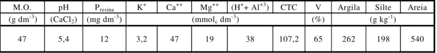 Tabela 1 - Características físico-químicas do solo.  Palmeira-PR, 2003 
