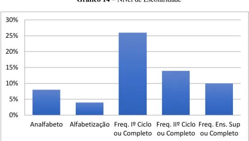 Gráfico 14 – Nível de Escolaridade